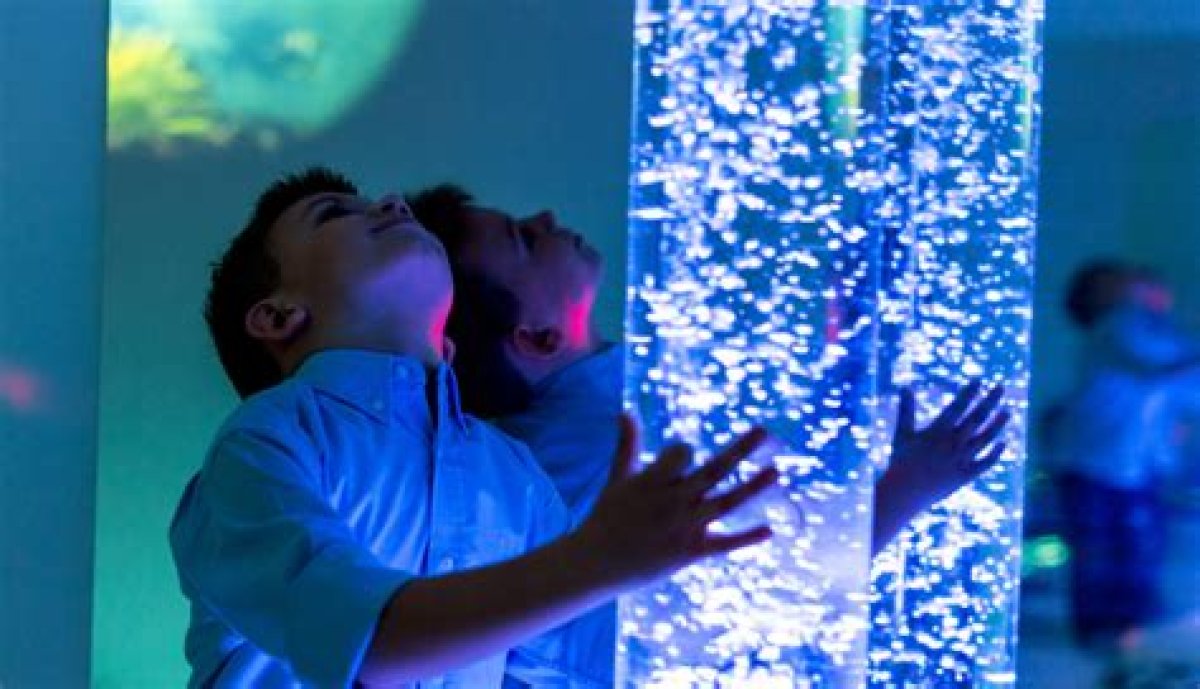 A Sensory Experience Worth Exploring