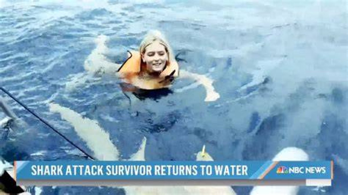 A Shark Attack Survivor's Tale