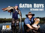Are the Gator Boys Still Around? Discovering the Legacy of Florida's Alligator Handlers