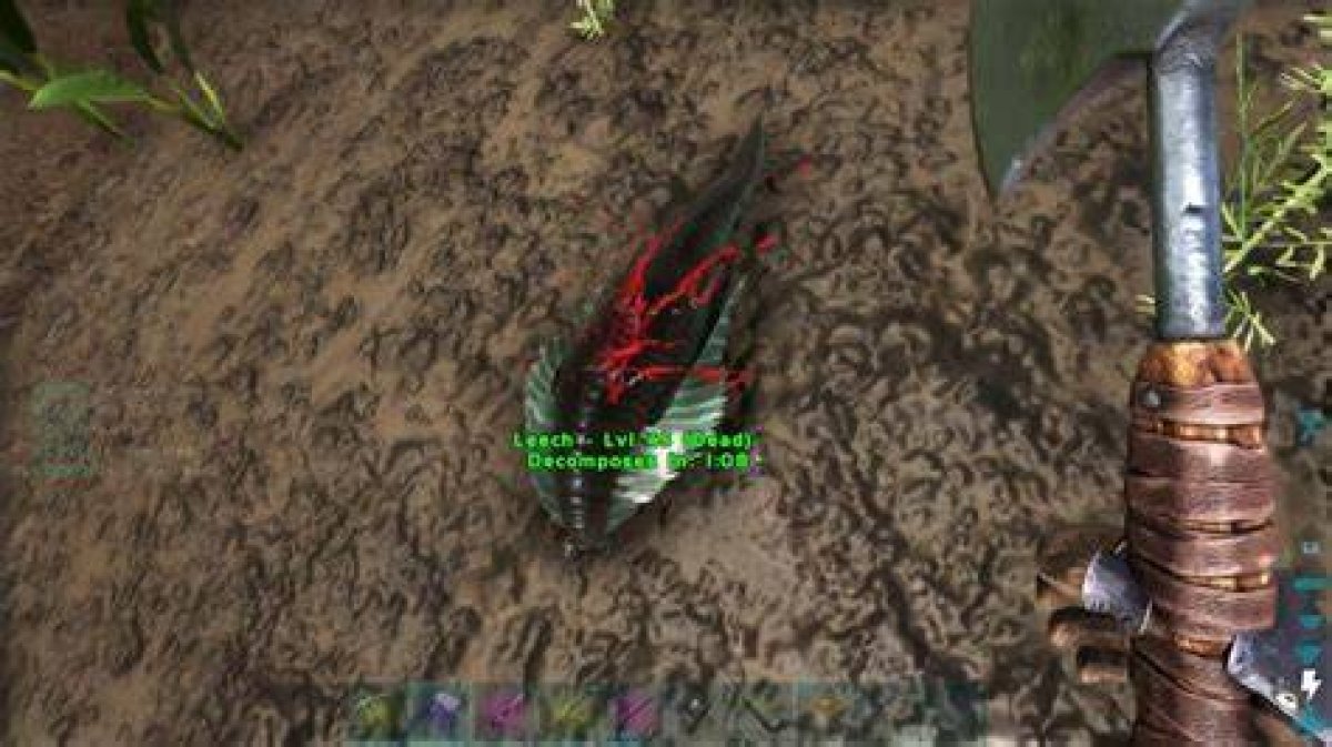 Ark: How to Get Leech Blood