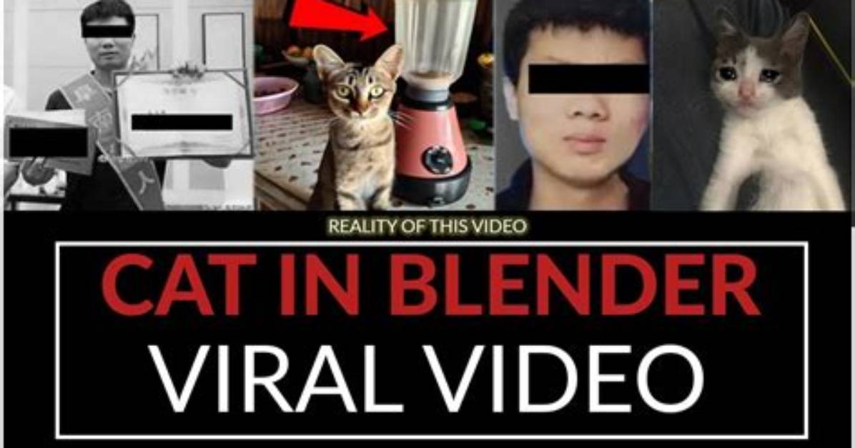 Cat in Blender Video on Twitter, Here's the Original Footage Explained