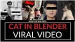 Cat in Blender Video on Twitter, Here's the Original Footage Explained