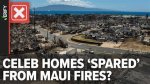 Celebrities in Maui Right Now Revealed