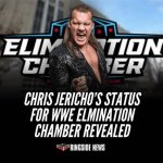 Chris Jericho's Marital Status Revealed
