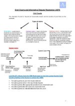Civil Regime: Understanding the Framework of Civil Law