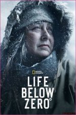Cole Sturgis: Life Below Zero Biography
