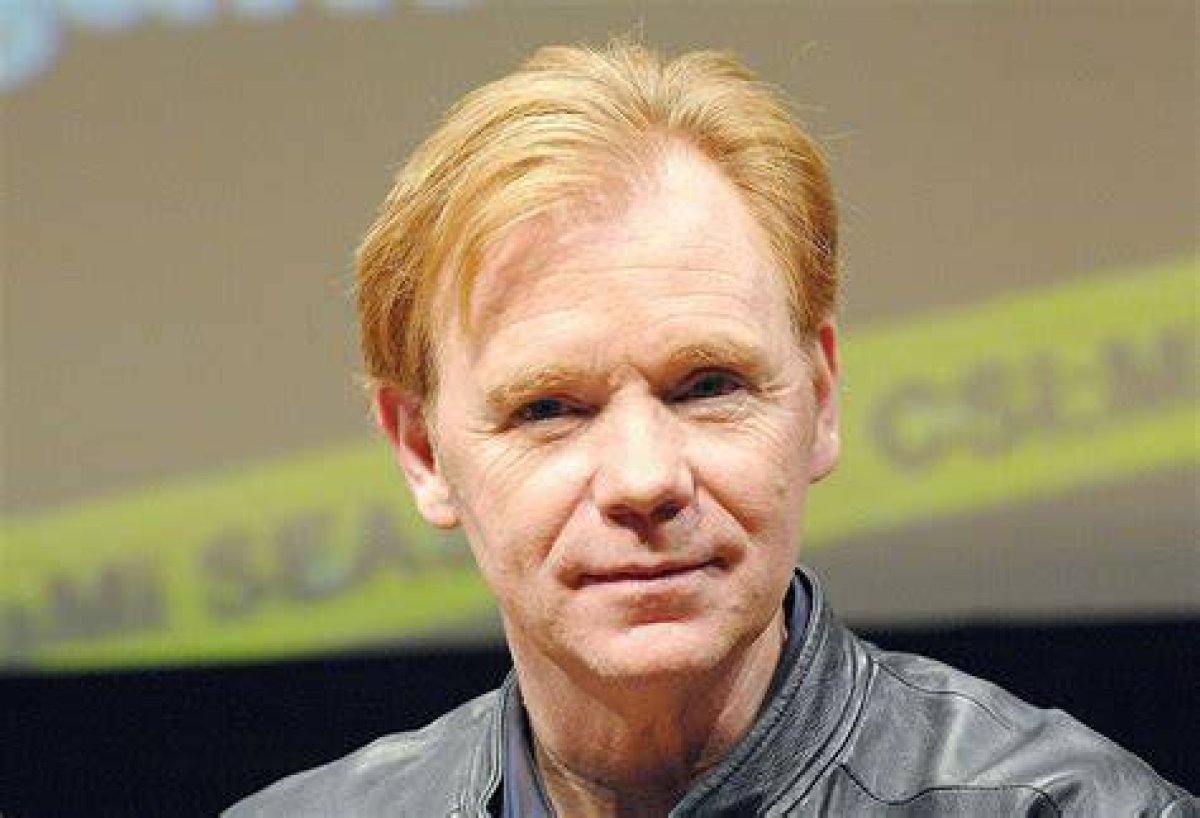 David Caruso Net Worth: a Deep Dive into His Career and Wealth