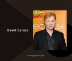David Caruso: the Life and Career of a Television Icon