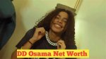 Dd Osama Net Worth: Uncovering the Riches of a Rising Star