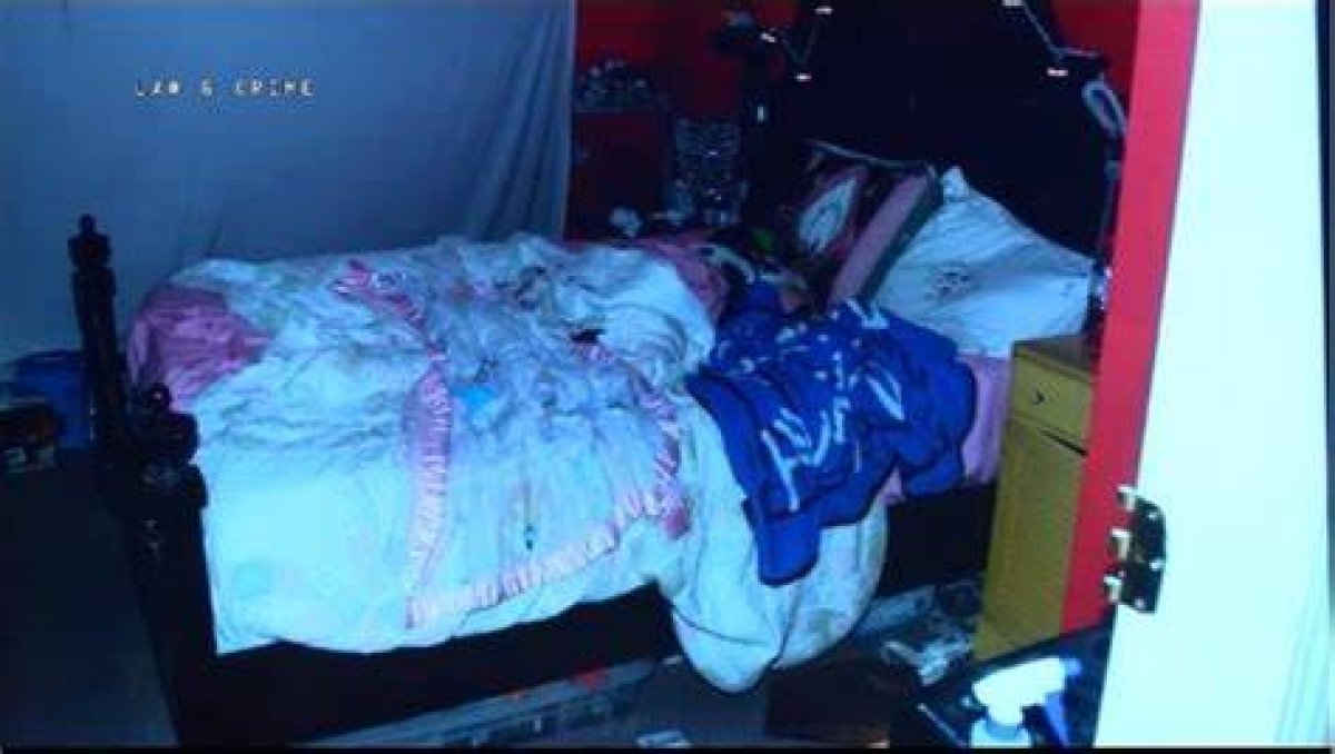 Deedee Blanchard Crime Scene Photos: a Deep Dive into the Case