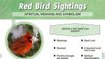 Discover the Profound Spiritual Significance of Birds