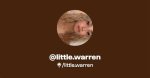 Discover the Secrets of Little Warren Leaks: a Comprehensive Analysis