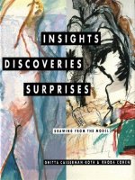 Discoveries and Insights from Donovan Roth