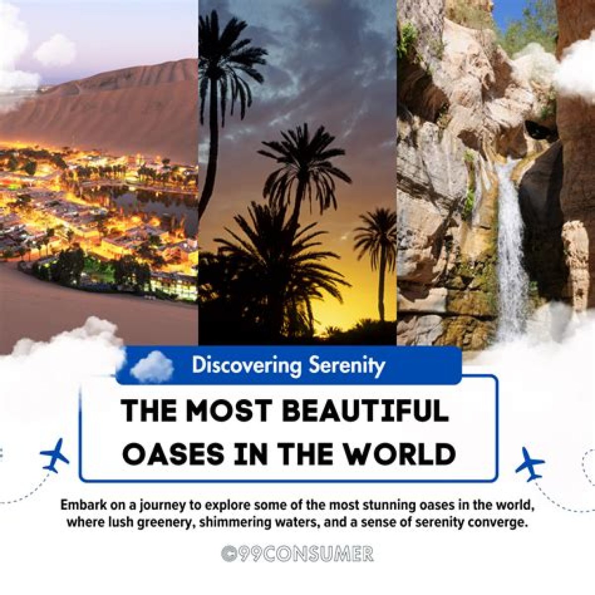 Discovering Serenity: a Holiday in the Wild