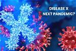 Disease X Symptoms: Understanding the Unknown and Its Implications