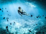 Dive into the Life and Wealth of Holly Thompson: Age, Bio, Husband,
