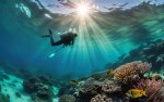 Dive into the World of Photography with Sunao Adelstein, Master Lensman
