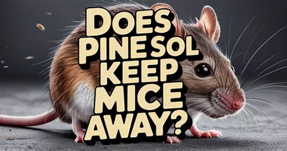 Does Pine-Sol Truly Repel Mice?
