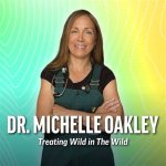 Dr. Michelle Oakley Divorce and Controversy | What Did She Do
