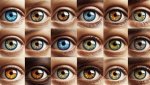 Exploring Bruce Kelly's Eye Color: a Deep Dive