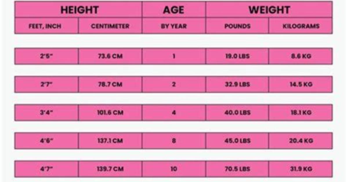 Exploring Christopher Harvest Height Weight Net Worth Age