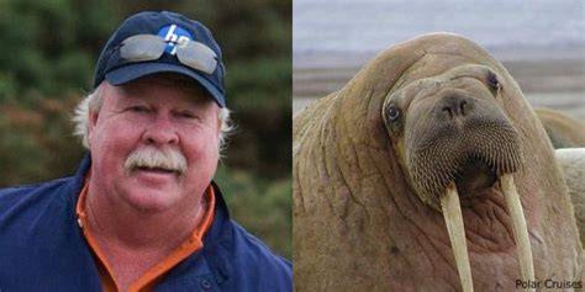 Exploring the Charm of Craig Stadler Walrus: a Unique Persona in Golf