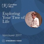 Exploring the Life and Legacy of Caroline Mcwilliams
