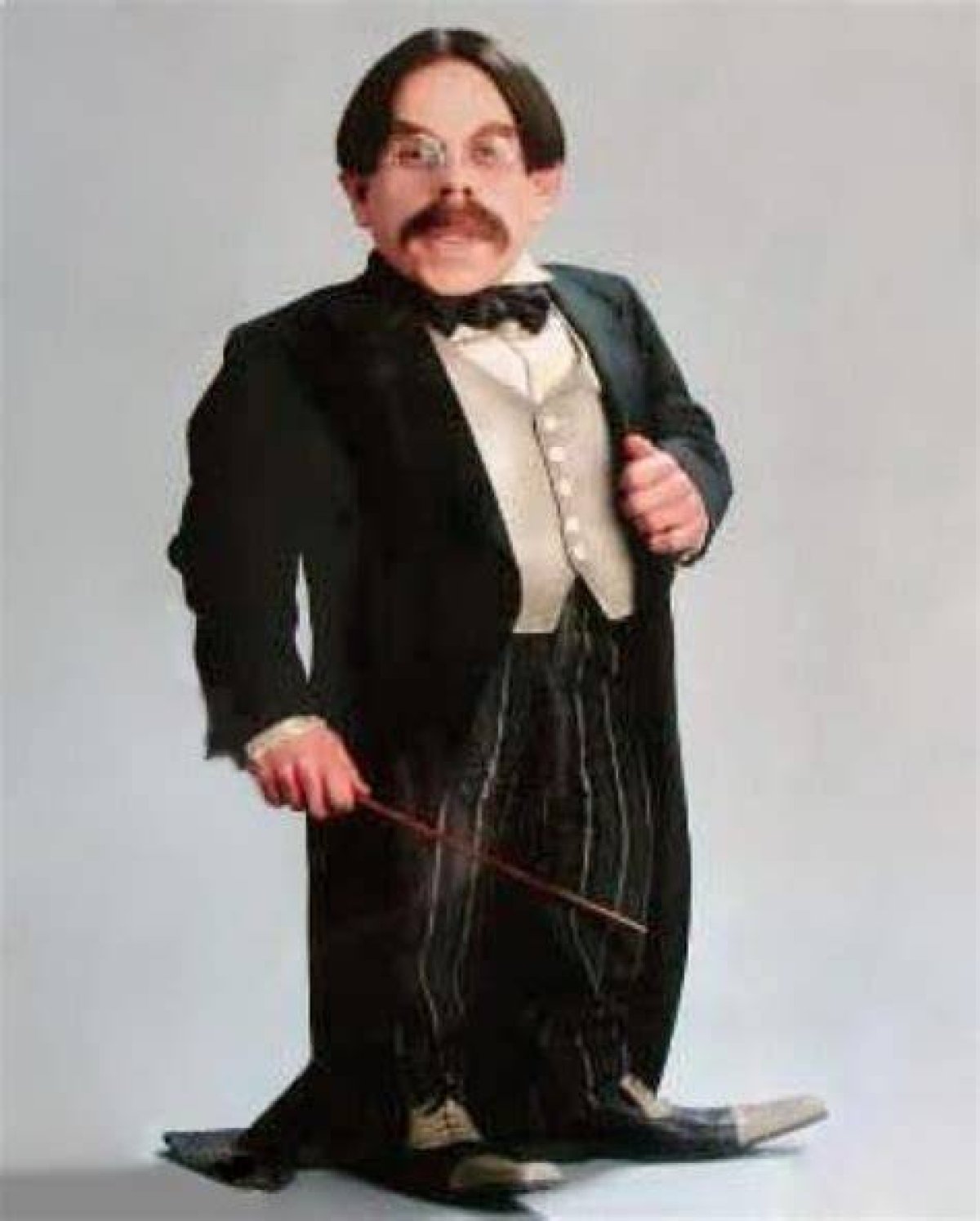 Filius Flitwick Actor: the Life and Career of Warwick Davis