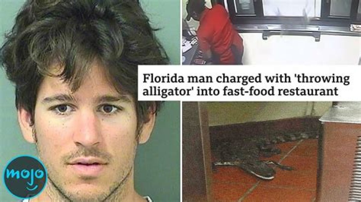 Florida Man: the Craziest Stories You Won't Believe!