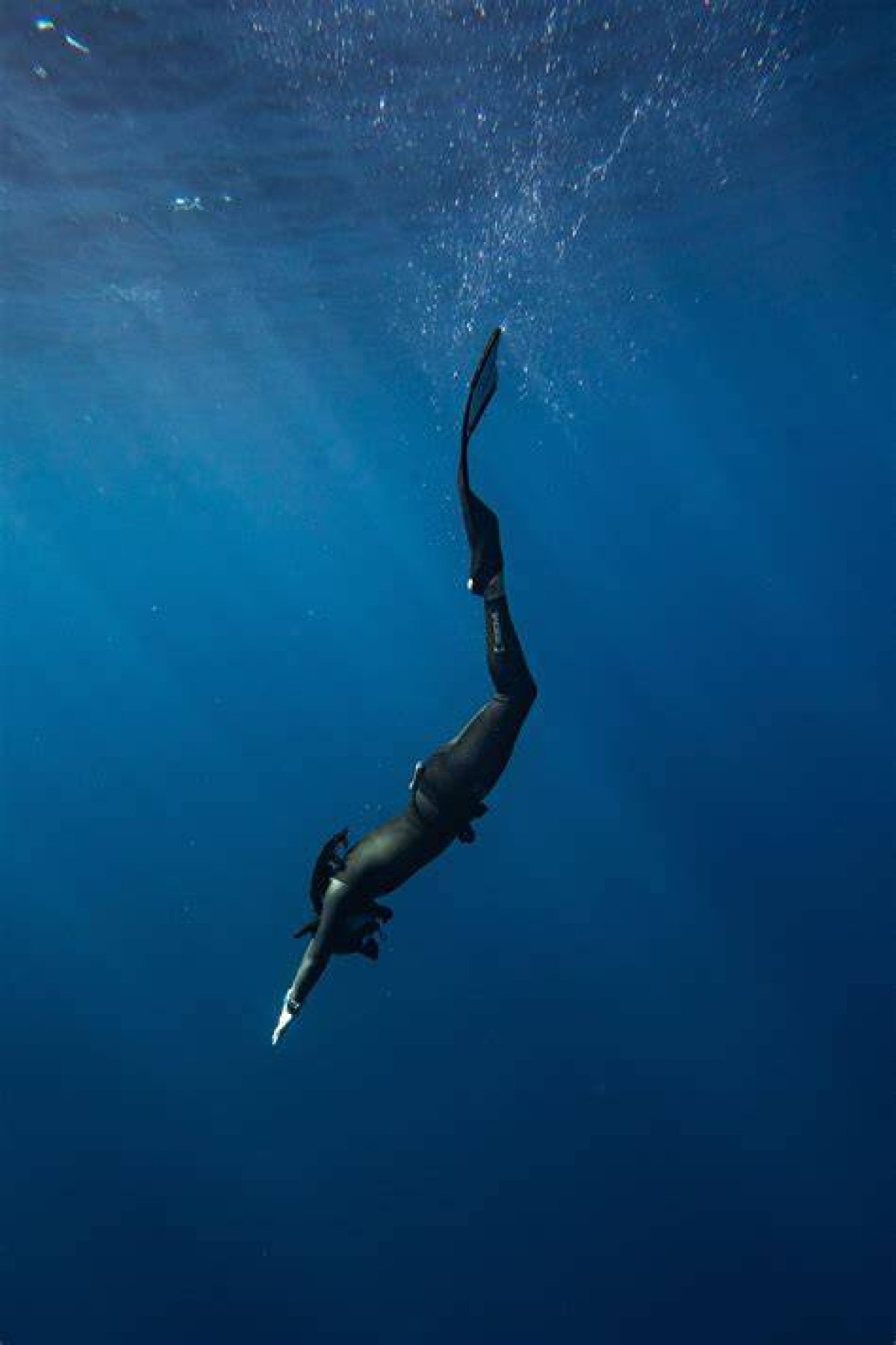 Freediving, Ocean Conservation, and Beyond