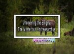 Godfrey's Wife: Uncovering the Enigma