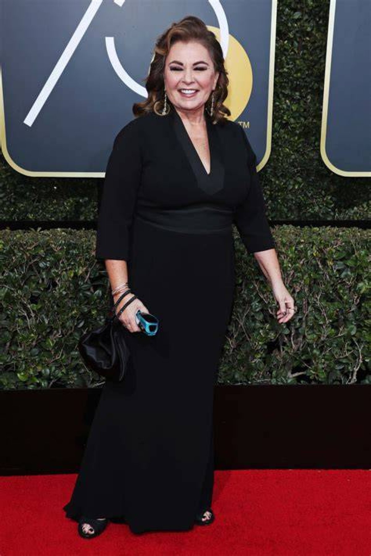 How Much Is Roseanne Barr Worth? a Deep Dive into Her Net Worth and Career