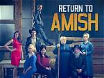 How Rich Is Return to Amish Star? ·