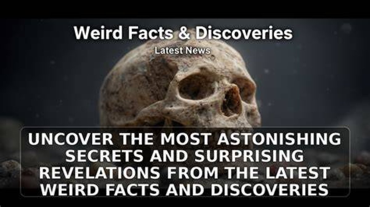 Inside Secrets and Surprising Revelations