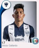 Jesus Gallardo- All About the Professional Football Player from Mexico National Team