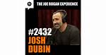 Josh Dubin Wikipedia: Details to Know About the Lawyer