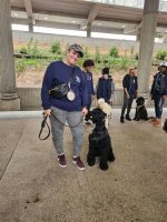 K9 Lady: the Inspiring Journey of a Dog Trainer and Advocate