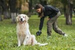 K9Lady: Empowering Dog Owners Through Expertise and Community