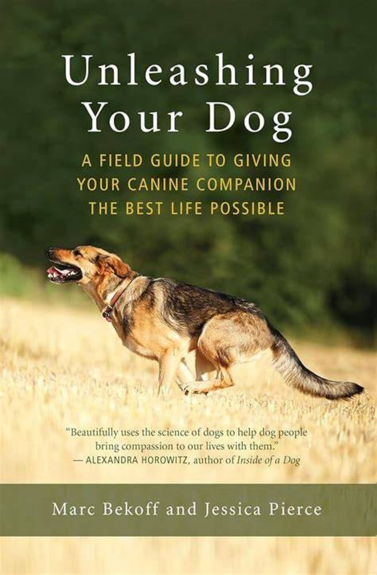 K9Lady: the Ultimate Guide to Canine Companionship and Care