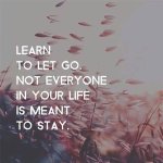 Learn to Let Go ·