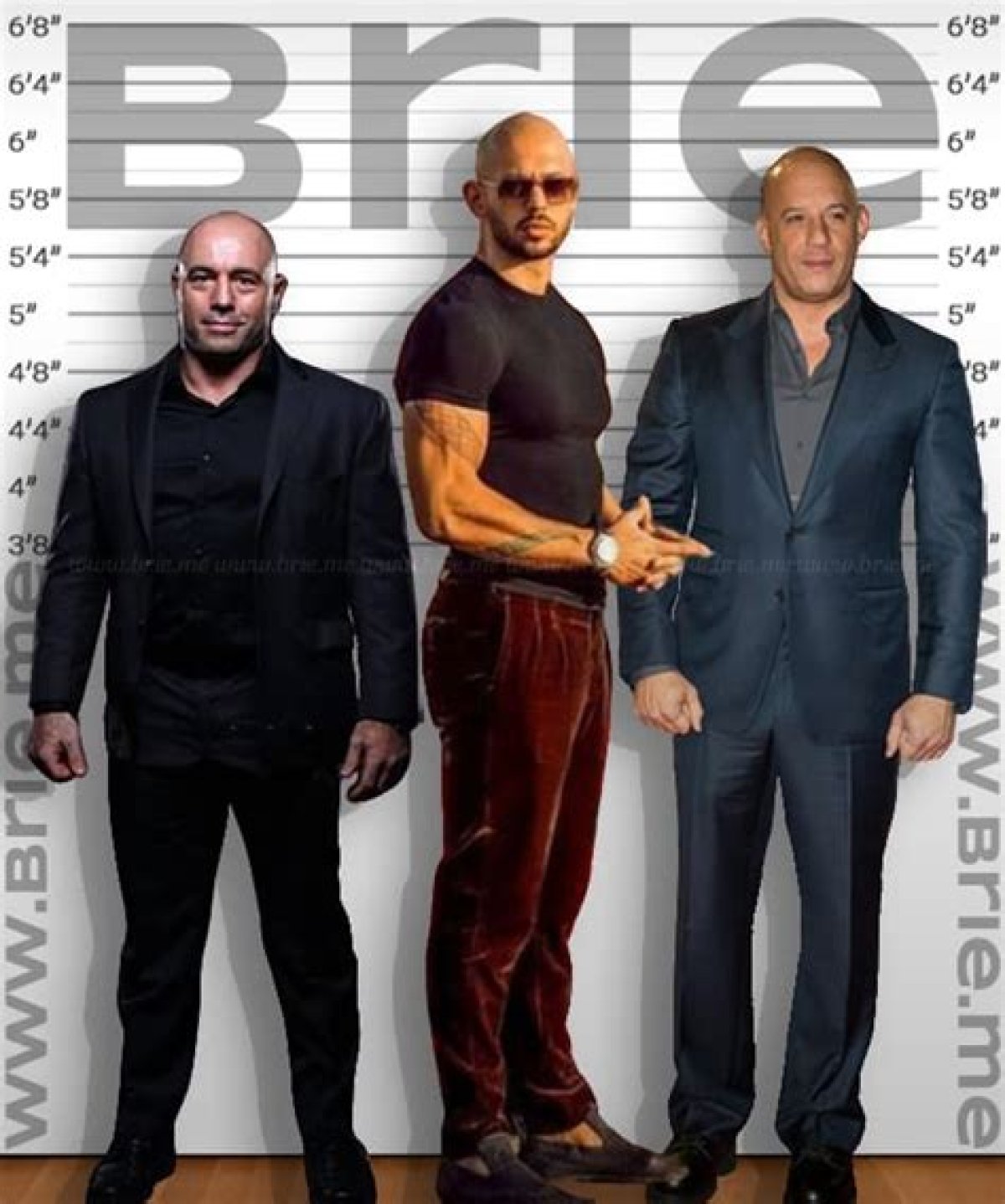 Luc Tate Height; How Tall Is Luc Tate?