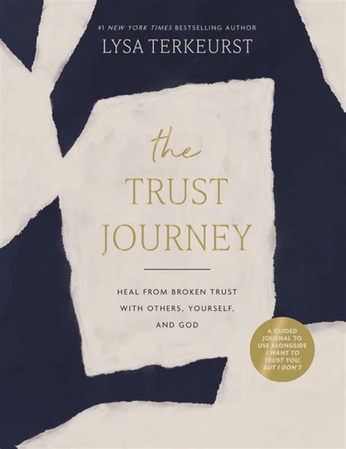Lysa Terkeurst: a Journey of Faith, Resilience, and Empowerment