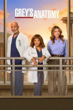 Meet Sadie: a Grey's Anatomy Icon