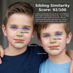Mellstroy Family Resemblance: a Portrait of Similarity