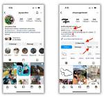 Owner, Instagram Page and More! ·
