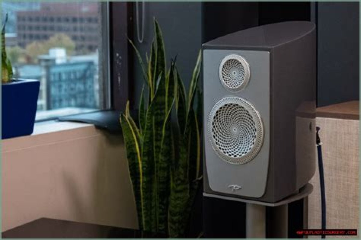 Paradigm Persona B Bookshelf Speaker Hands-on Review