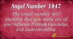 Pulsevibe | Angel Number 1047