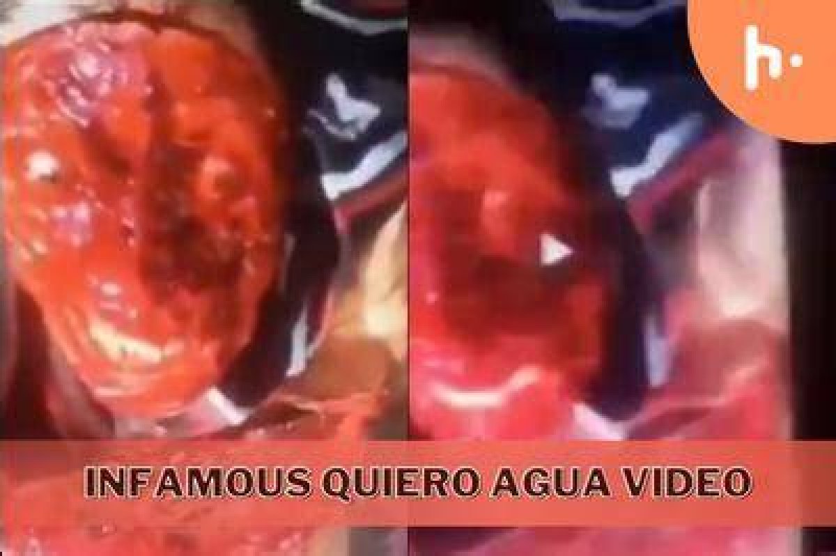 Real Water Gore Videos: Uncensored and Not for the Faint of Heart