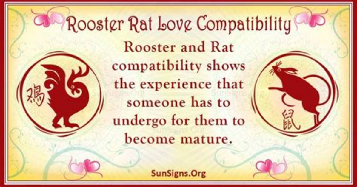 Rooster and Rat Compatibility: Seductive Affair