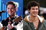 Shawn Mendes and Niall Horan: a Deep Dive into Their Musical Journey and Friendship